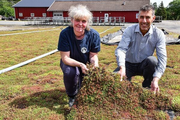 En institusjon gjennom 80 år kan bytte eier