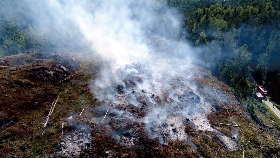 SAK: En av registrerte forhold i Froland i fjor, var denne skogbrannen ved Hersel. Her dronefot av det hele før slukkingen kom i gang. DRONEFOTO: ARKIV