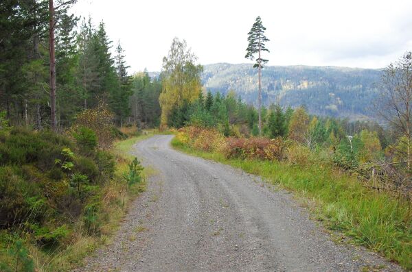 Veistrekningen Mjåvatn - Herefoss 140 år