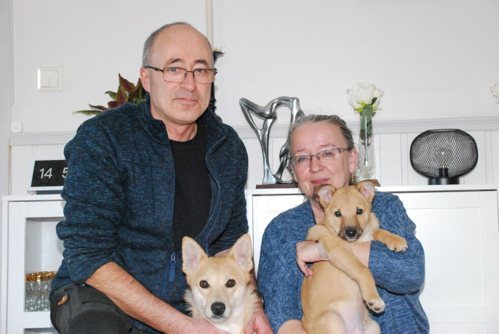 BLAKSTADHEIA: Roger og Karin Holm med hundene Sheeba og lille Hero noen uker etter operasjonen. Eierne hadde ikke hjerte til å la valpen Hero dø, siden oktober i fjor har de brukt mye tid og penger på at valpen skulle få leve. – Så langt har det kostet oss over 70 000 kroner, men det er Hero verdt, sier de. 			FOTO: ANNA JOHANNE SVEINUNGSEN