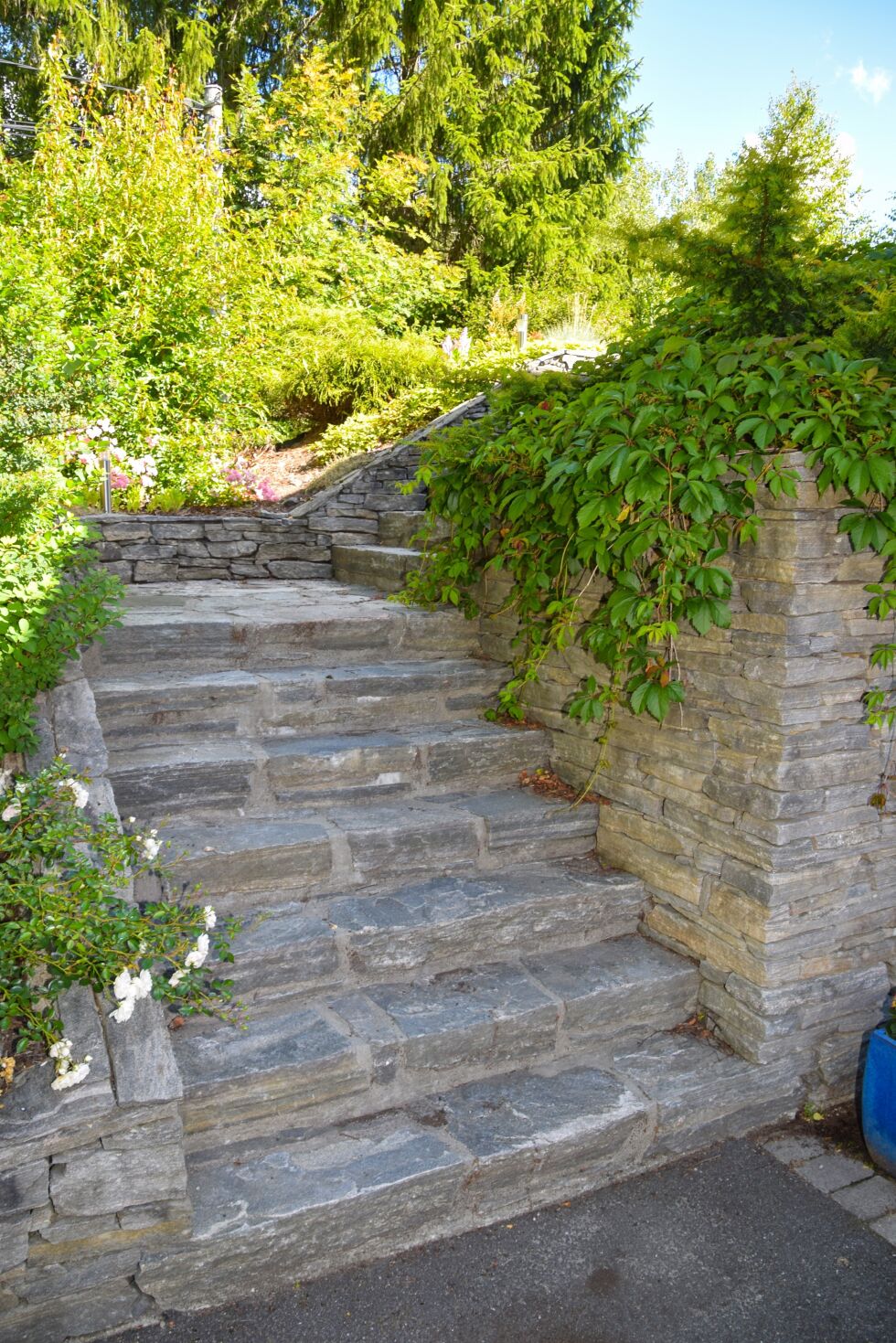 INNGANG: Hagen starter med en steintrapp omkranset av steinmurer. FOTO: RAYMOND ANDRE MARTINSEN