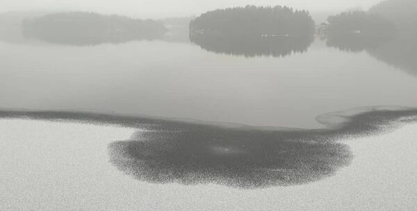 Nyttårsbilder fra Froland