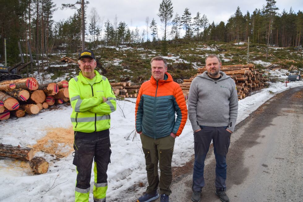 HOGST: Eilif Hovatn kjører lastbæreren, Aslak Askland daglig leder i Best på skog AS og skogbruksleder i AT Skog, Olav Mjåland. I bakgrunnen ser vi litt av området som har blitt hugget ved Uvann. FOTO: RAYMOND ANDRE MARTINSEN