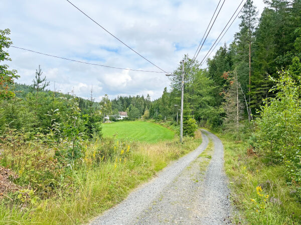 Gjør ikke endringer i Stimoen-planene