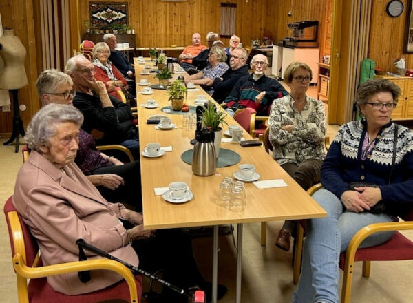 Hva vet vi om hørsel og hjelpemidler?