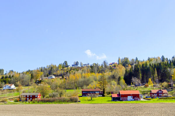Naturforandringer i min levetid
