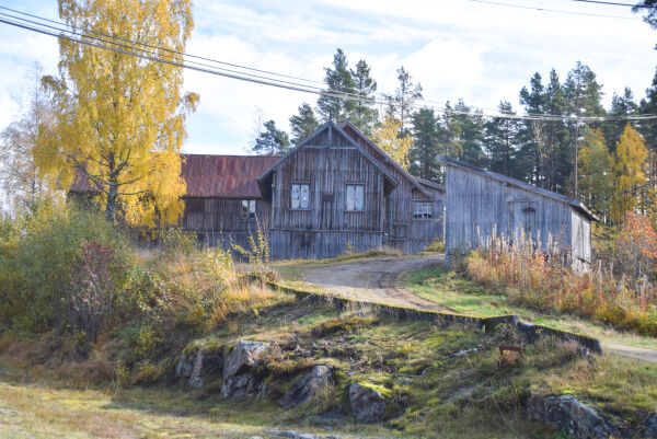 Dette ble vinnerne av vår–rebusen