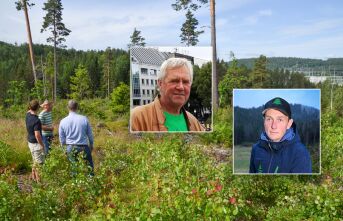 Fortsatt usikkerheter rundt Bøylestad-hogst