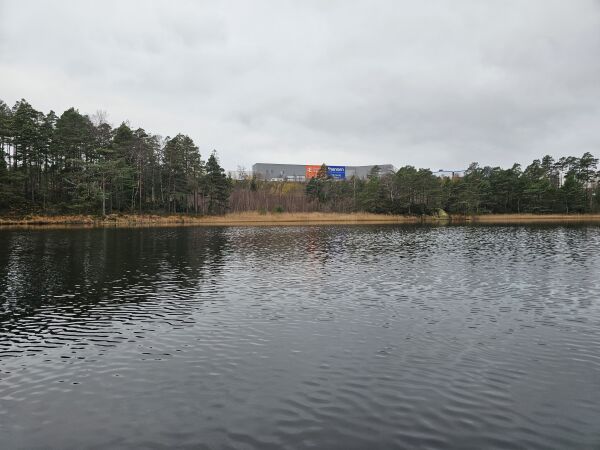Veisalt forurenser vannmiljøet i Sør-Norge