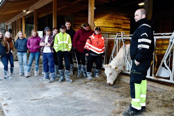 Satser åtte mill.på egen kufarm