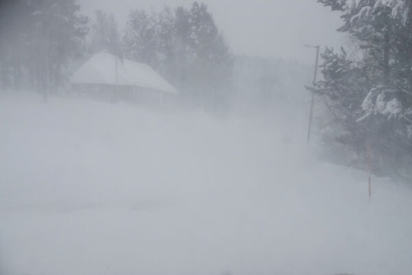 Se bilder fra snøværet i Froland