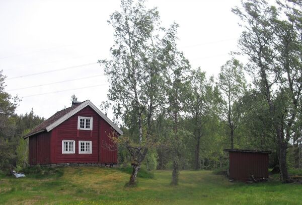 Frolendingen på vidvanke