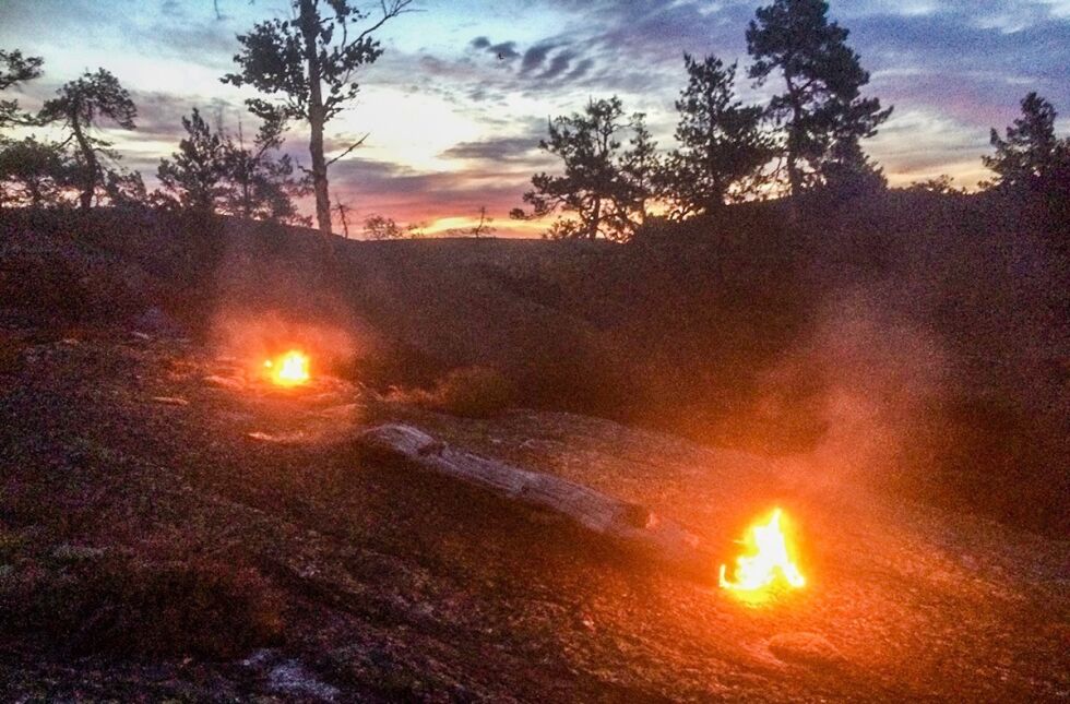 TØRT: Stokker, trær og kratt tok sammen med resten av terrenget fyr. I løpet av natten fikk brannmannskapene kontroll. FOTO: BRANNVESENET I FROLAND