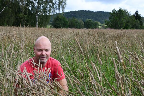 Storprodusent av frø og fôr