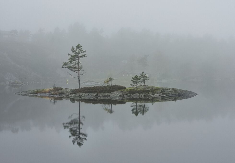 Tåkedis over vannet.
 Foto: Ivar Salvesen