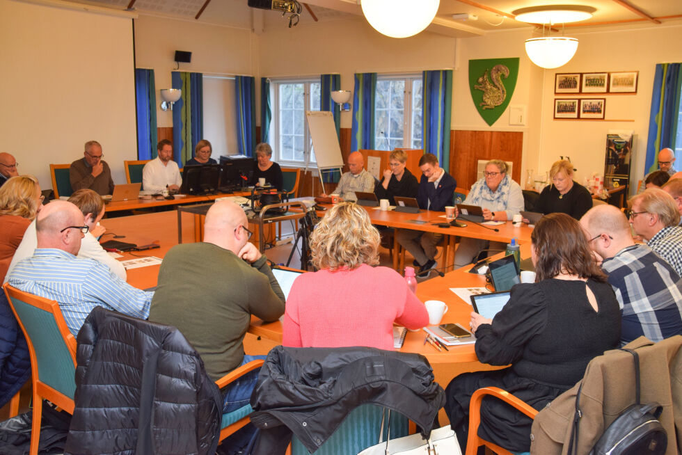 MØTE: Torsdag kom kommunestyret i Froland med sitt høringsinnspill til NVE som behandler søknaden om kraftledning fra Bøylestad til Morrow. FOTO: RAYMOND ANDRE MARTINSEN