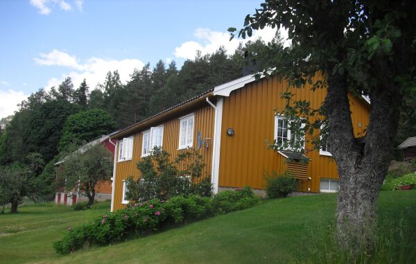 Frolendingen på vidvanke