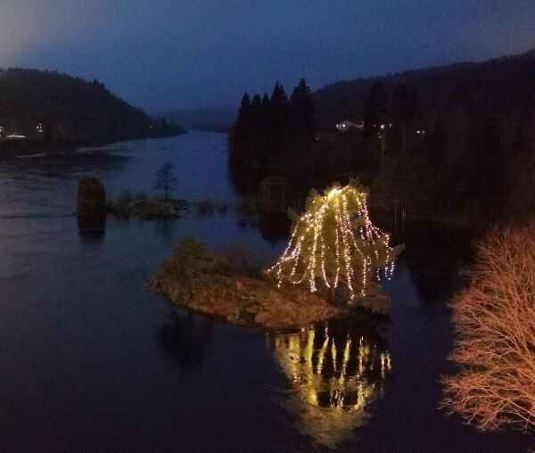 Fikk sponset juletreet i elva