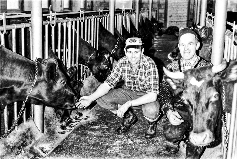 ÅPNINGEN: Naboene Odd Lillemoen og Aslak Gjennestad smiler fornøyd etter at de, som de første i Aust-Agder, satset på felles fjøs og samdrift av gårdene sine.  Bildet ble tatt like før jul i 1972.