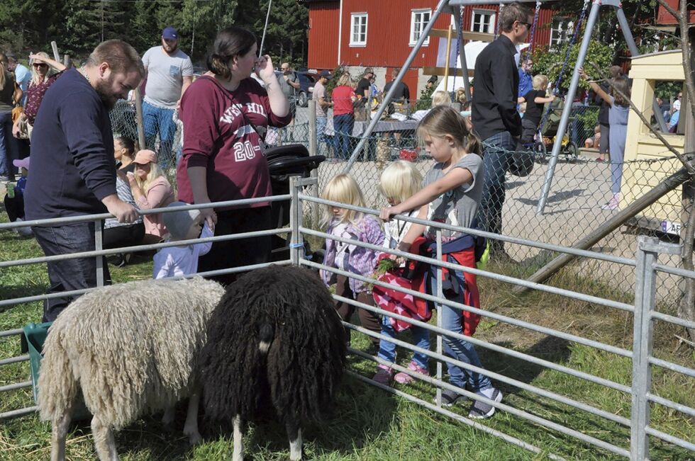 FLOTT: Barn og dyr er en fin kombinasjon, så de unge lærer viktigheten av landbruket.