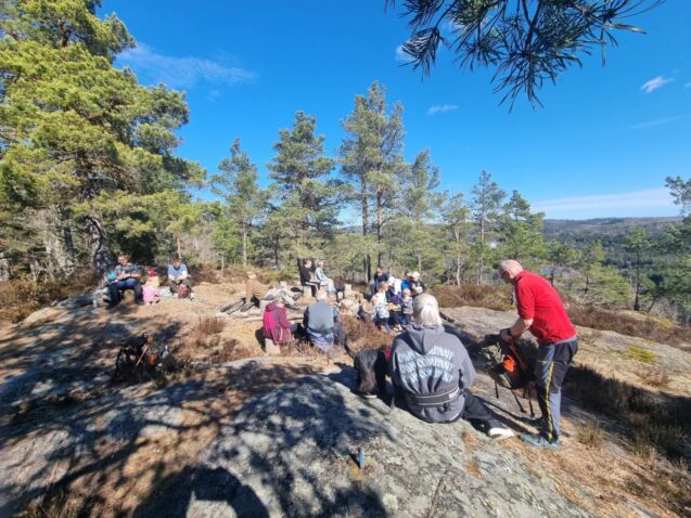 Blåveistur til Almedalen