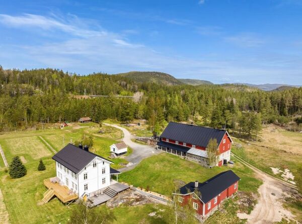 – Gikk godt over prisantydning