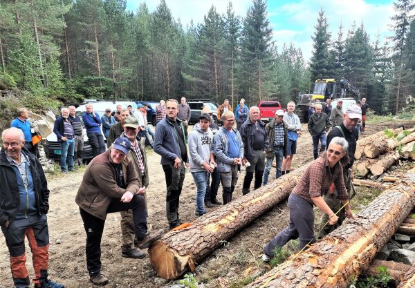 Skogen gull verdt for Froland