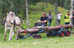 Dette stod på trykk for 5, 10 og 15 år siden