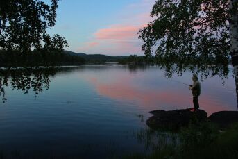 Vannet fra oven: En liten ferd fra  skog til hav langs et lite vassdrag