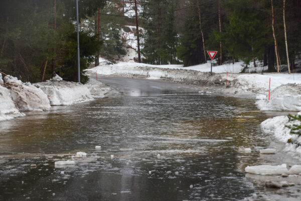 Se bilder fra regnværet i Froland