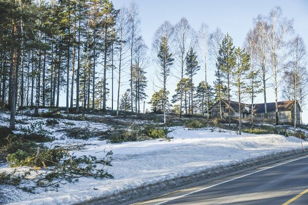 Arving vil ha igjen Sagtomta