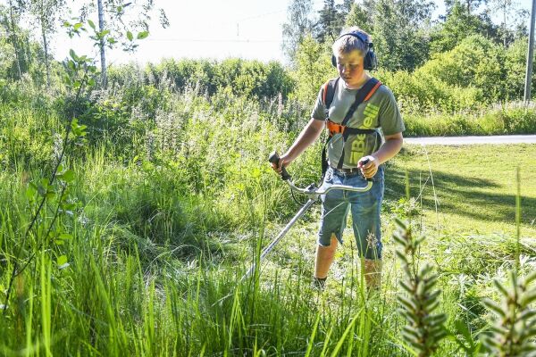 Min sommer: Tor Røisland