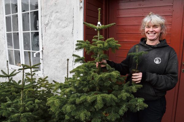 Håndtverk og grøt på Frolands Verk