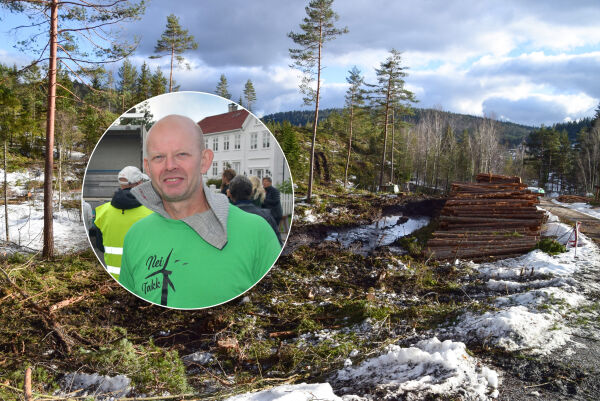 Vindkraft versus skogbruk