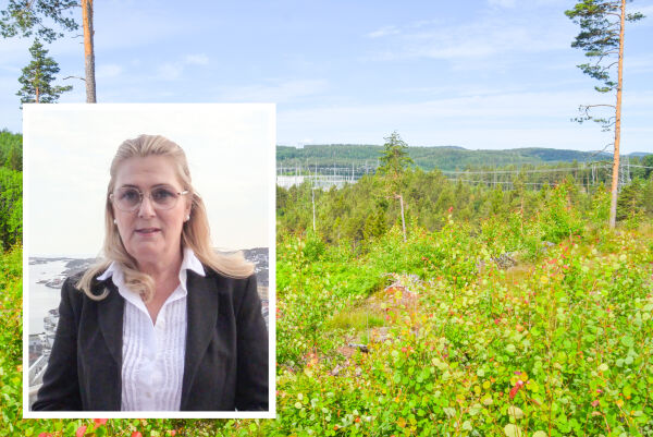 Statsforvalteren bryter  fristen i Bøylestadsaken
