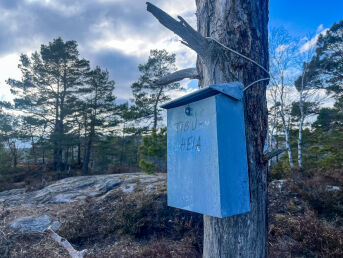 Kortreist topptur til Tibuheia