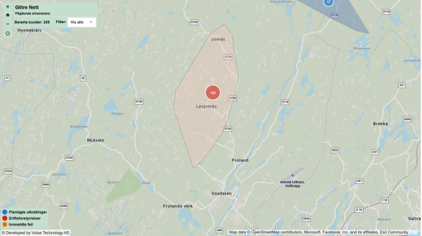 Nesten 200 husstander uten strøm i Froland