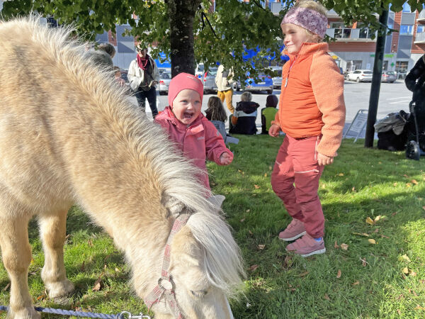 Hesteglede for store og små