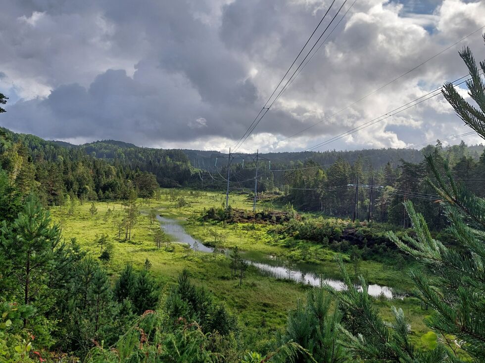 OMRÅDET: Bilde viser deler av våtmarksområdet Lonene. Dette området er en del av det 2000 mål store industriområdet mellom Bøylestad og Bøylefoss. 			FOTO: SOLVEIG BYGDÅS