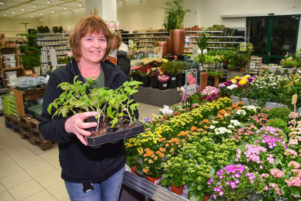 HAGE: Siri Hovatn fra Froland jobber på Hageland på Stoa og hjelper mange kunder fra Froland og områdene rundt med spørsmål om hage. Nå har årets utesesong startet for mange. FOTO: RAYMOND ANDRE MARTINSEN