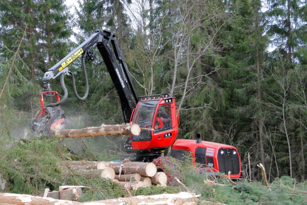NÆRING MED NULLVISJON: Et bredt, forebyggende samarbeid er satt i gang for å hindre at skogsdrift skal utløse skogbranner i sommer.
 Foto: Astri Kløvstad/Norsk Skogbruk