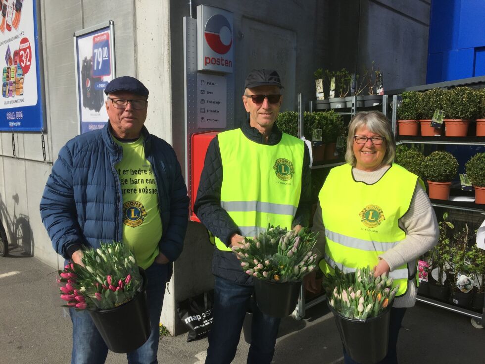TULIPANER: Ottar Tveit, Ottar Haugmoen og Laila Homdal fra Lionsklubben i Froland hadde med seg mange tulipaner de skulle selge for en god sak utenfor Rema 1000 i Osedalen lørdag. FOTO: RAYMOND ANDRE MARTINSEN