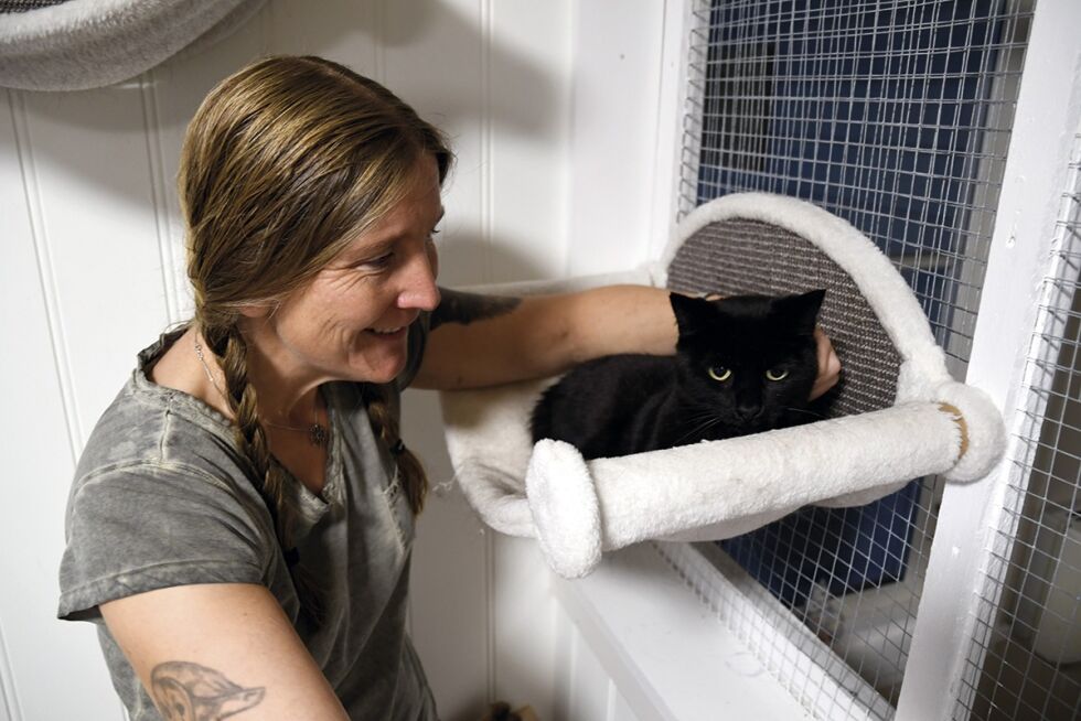 SOSIALISERES: Maylinn Gabrielsen og de andre i Dyrenes hjelper passer på at kattene har det bra. Her er det Pogba som får kos.