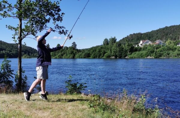Sommerbilder