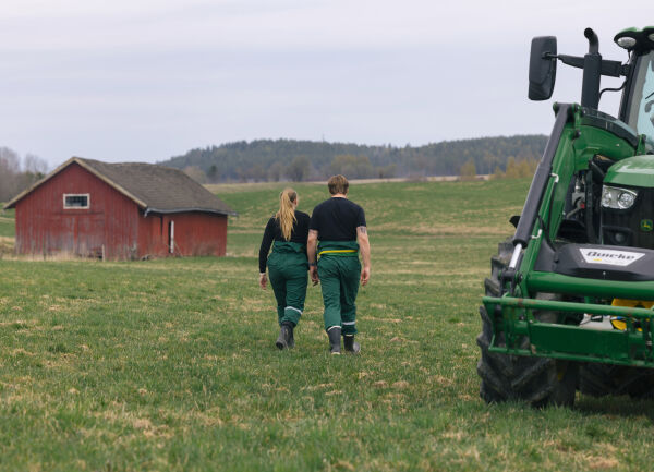 Bør en i Froland bli årets bonde?
