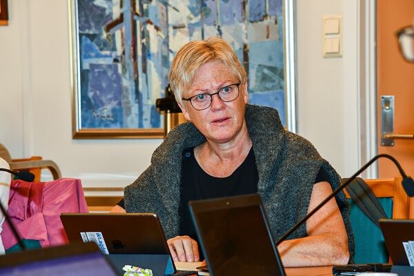 Budsjettet for 2021 blir en kattepine