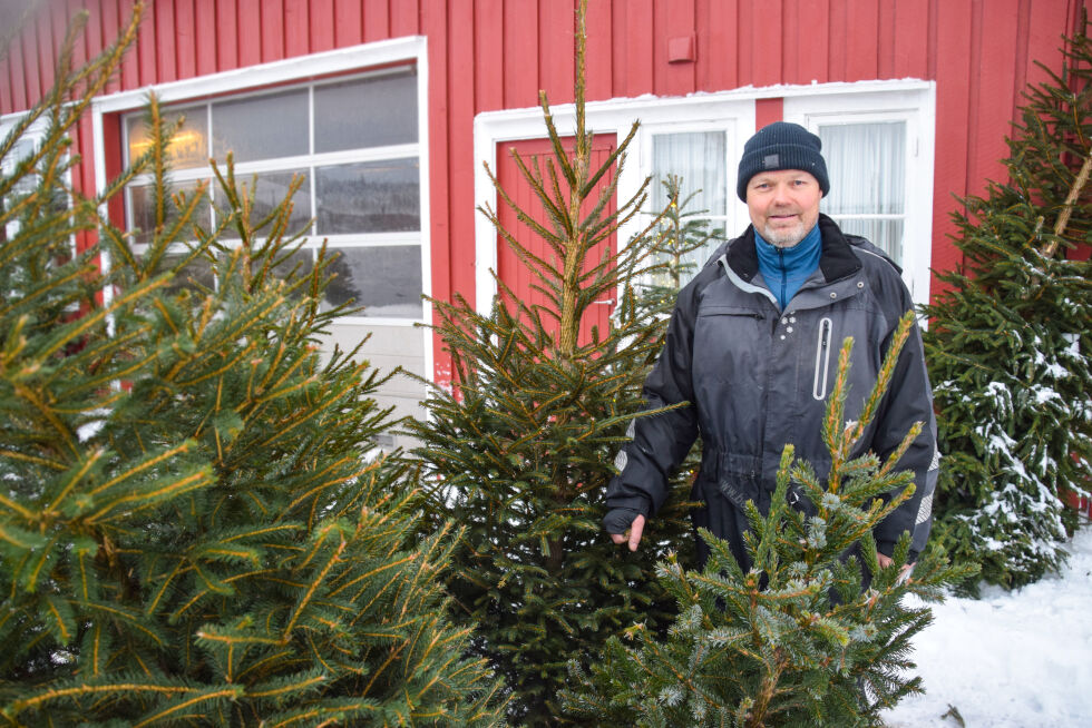 MESSEL: Det har blitt produsert og solgt mange juletrær på Messel siden slutten av 1990–tallet. Årets sesong har fått en god start, forteller Torleiv Messel. FOTO: RAYMOND ANDRE MARTINSEN