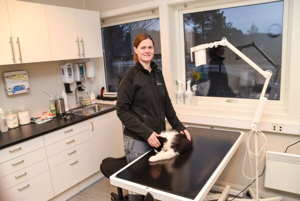 Nytt sted for  veterinæren på Verket