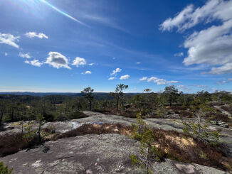 Sentrumsnære Einerfjell