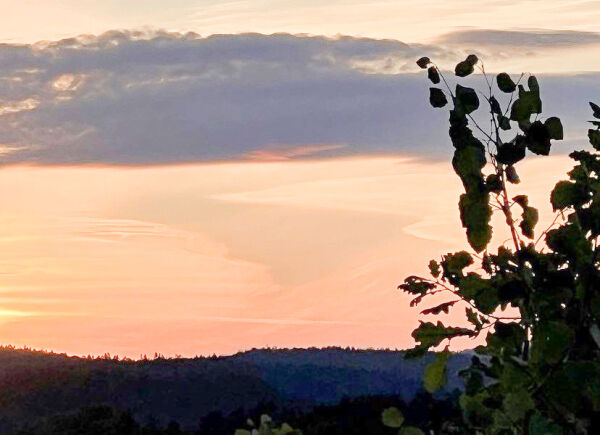Se lesernes sommerbilder